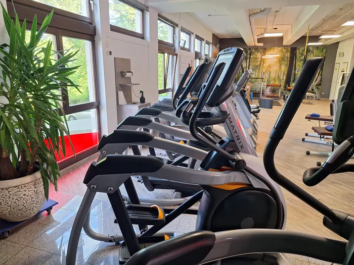 Crosstrainer-Reihe vor Wald-Wandbild