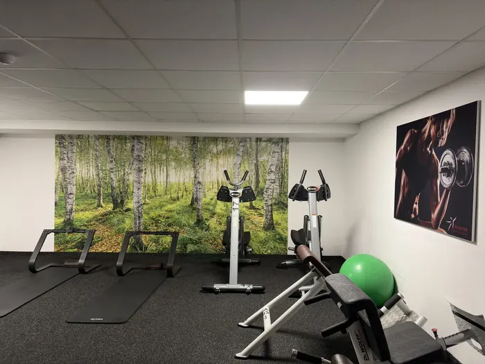 Gymnastikraum mit Birkenwald-Wandbild